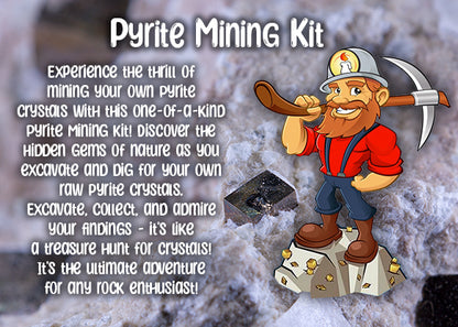 Pyrite Mining Kit