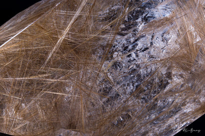 Rutilated Quartz
