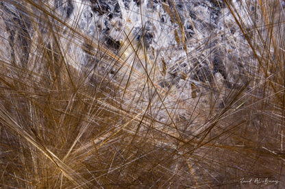 Rutilated Quartz