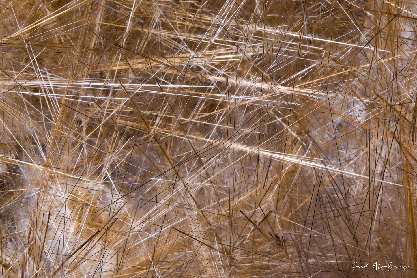 Rutilated Quartz
